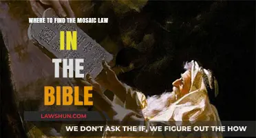 Discovering the Mosaic Law: Biblical Locations and Key Verses