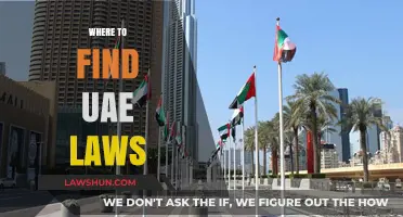 Where to Find UAE Laws: A Comprehensive Guide for Residents