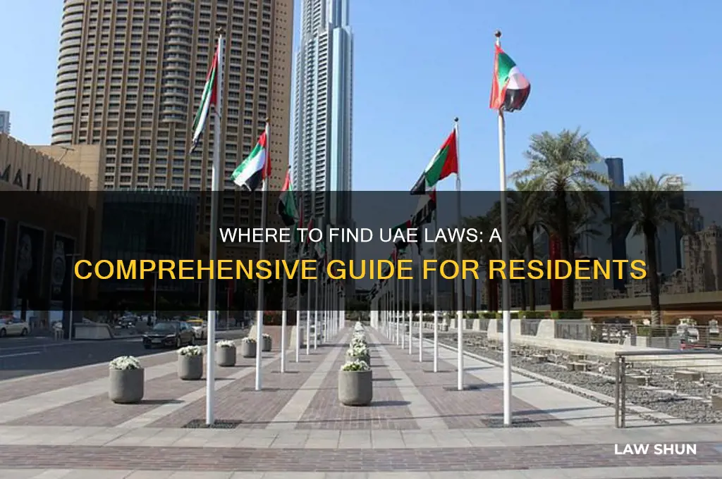 where to find uae laws