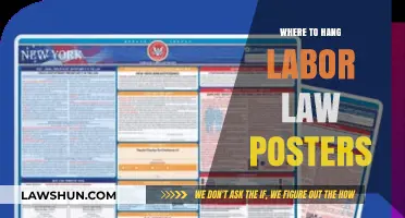 Strategic Placement: Where to Hang Labor Law Posters for Compliance