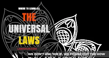 Explore Universal Laws: The Ultimate Guide