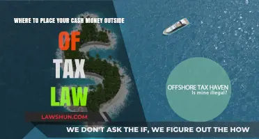 Offshore Havens: Where to Stash Your Cash Legally