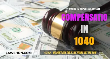 Reporting Law Suit Compensation on Your 1040 Tax Return: A Guide