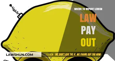 Reporting Lemon Law Payouts: Essential Steps and Resources for Consumers