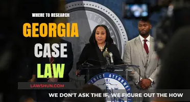 Georgia Case Law: Research Sources and Strategies