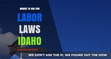 Idaho Labor Law Disputes: Choosing the Right Court to Sue