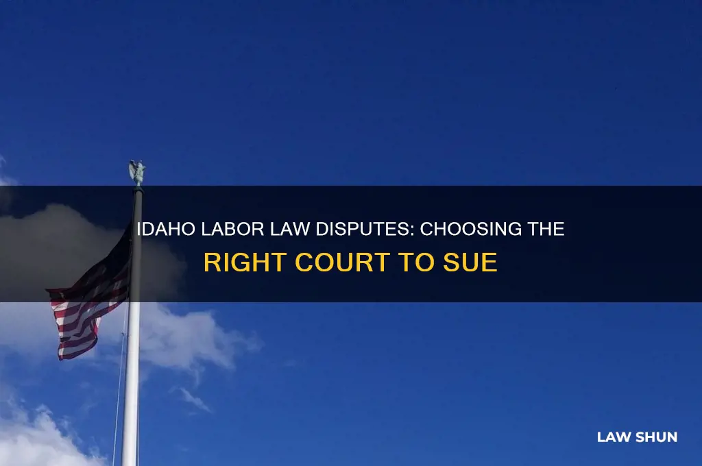 where to sue for labor laws idaho