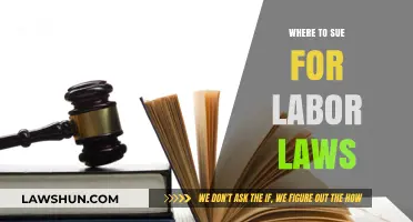 Navigating Labor Law Disputes: Choosing the Right Jurisdiction to Sue