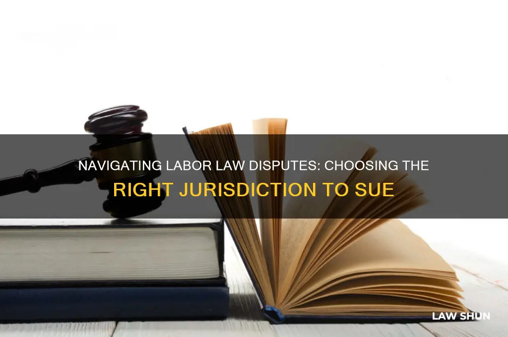 where to sue for labor laws