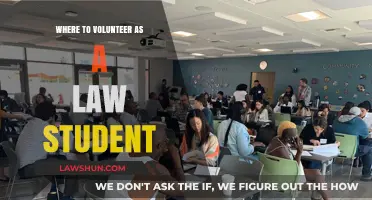Top Volunteer Opportunities for Aspiring Lawyers: Gain Experience and Give Back