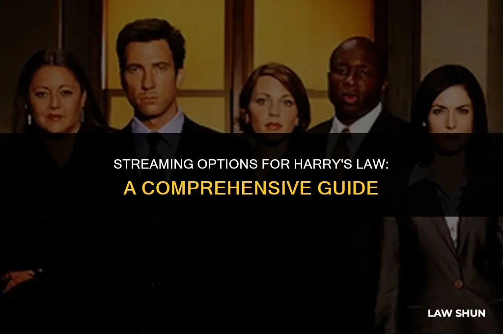 where to watch harry