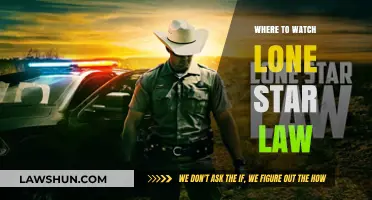 Discover the Best Places to Watch Lone Star Law Online