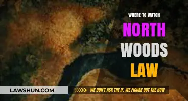 Exploring the Best Platforms to Stream North Woods Law Online
