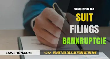 Where to Find Law Suit Filings and Bankruptcy Records Easily