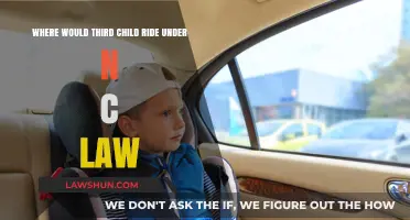 NC Car Seat Laws: Where Should Your Third Child Ride?