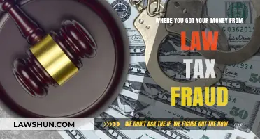 Law, Tax, and Fraud: The Money Trail