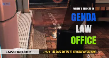 Unveiling the Mystery: Where's the Cat in Genda Law Office?