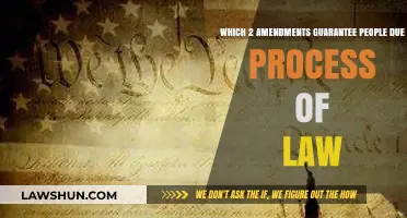 Due Process Rights: Understanding the Amendments That Protect Your Legal Fairness