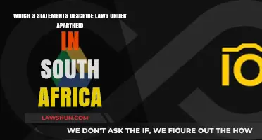 Apartheid Laws in South Africa: Three Key Statements Explained