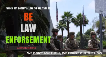 The Posse Comitatus Act: Why Military Can't Enforce Domestic Law