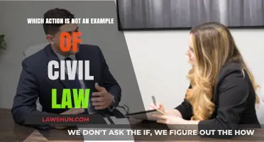 Understanding Civil Law: Identifying Actions Outside Its Legal Scope