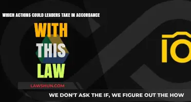 Empowering Leadership: Strategic Actions to Align with New Legal Standards