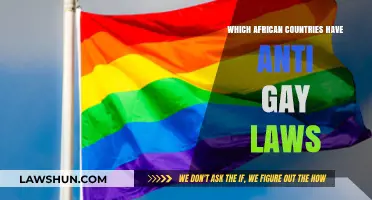 African Nations with Anti-Gay Laws: A Comprehensive Overview