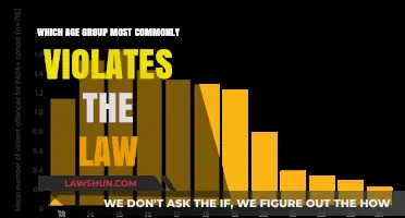 Younger Generations: More Lawless?