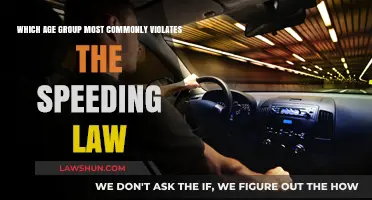 Speeding Law: Youthful Offenders or Aged Rebels?