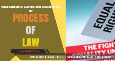Equal Citizenship and Due Process: The 14th Amendment's Legacy