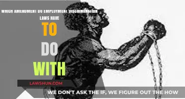 Employment Discrimination Laws and the 14th Amendment: Understanding the Connection