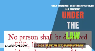 Due Process Rights: The Amendment Ensuring Fair Legal Treatment