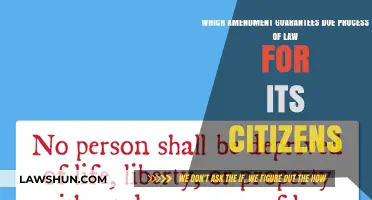 Due Process Rights: The Constitutional Amendment Protecting Citizens' Fairness