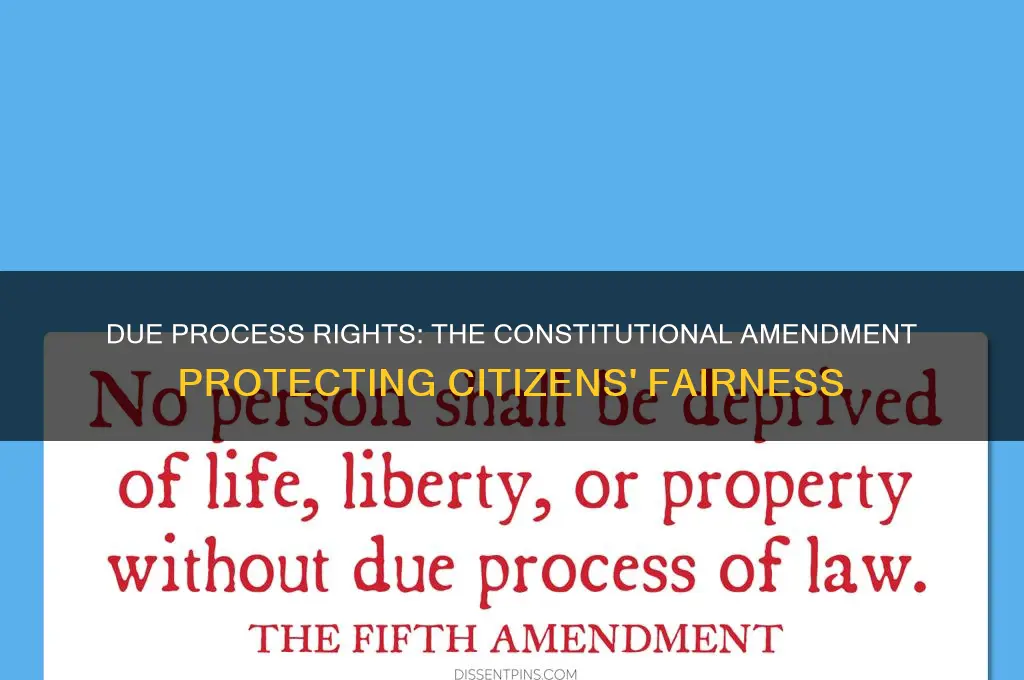 which amendment guarantees due process of law for its citizens