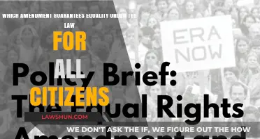Equality Under the Law: The Amendment Ensuring Fairness for All Citizens
