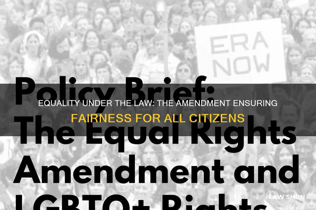 which amendment guarantees equality under the law for all citizens