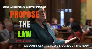 Citizen-Initiated Law: The Amendment Empowering Direct Proposal Rights