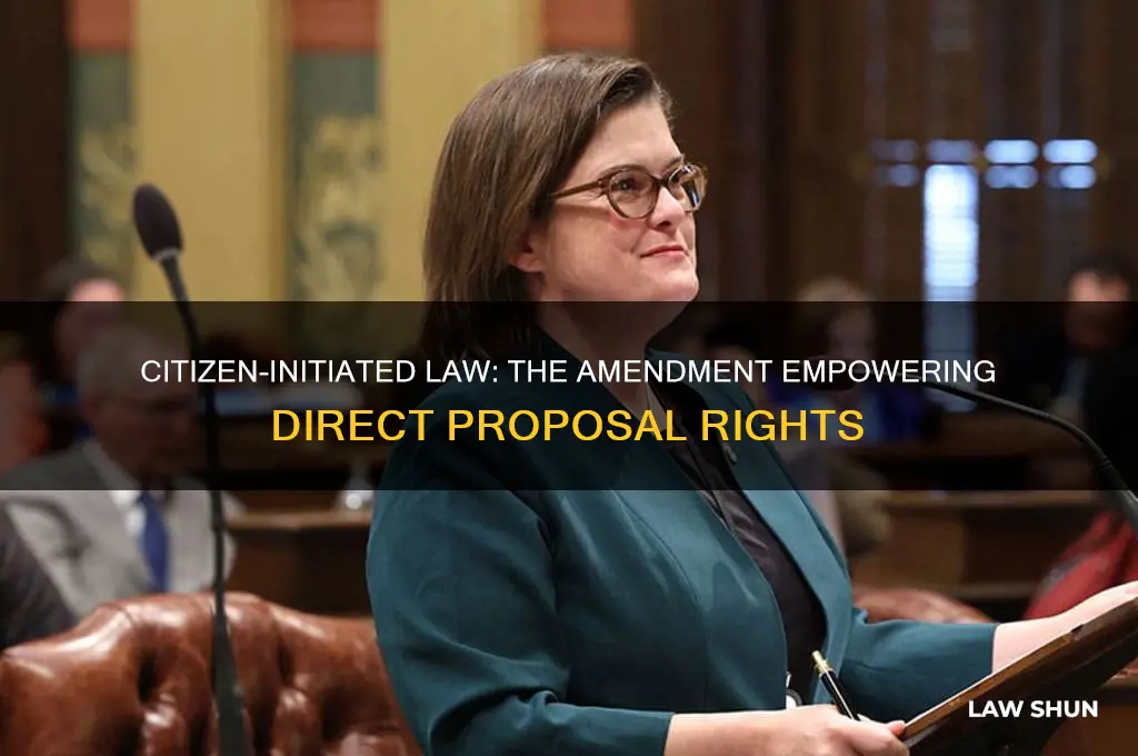 which amendment saw a citizen present and propose the law