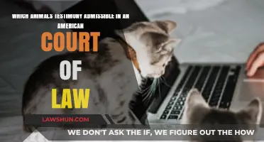 Can Animal Evidence Hold Up in American Courts? Legal Insights