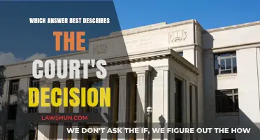 Understanding the Court's Decision: Key Insights and Analysis