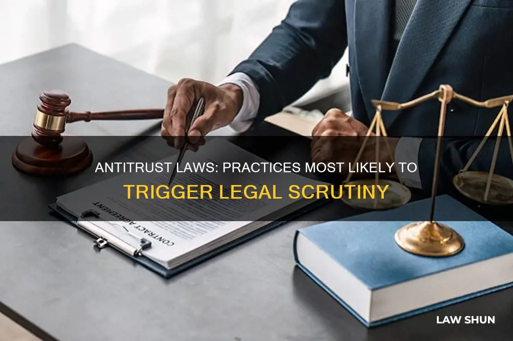 which are antitrust laws most likely to take exception to
