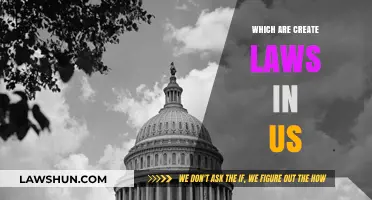 Who Makes the Laws in the US?