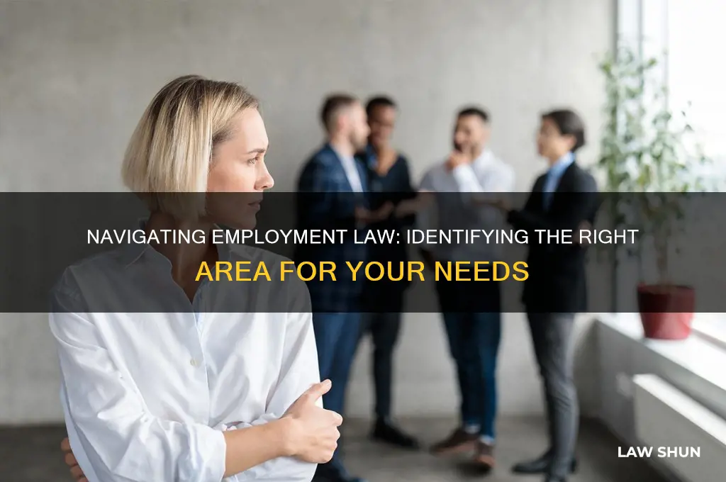 which area of employment law do you need help in