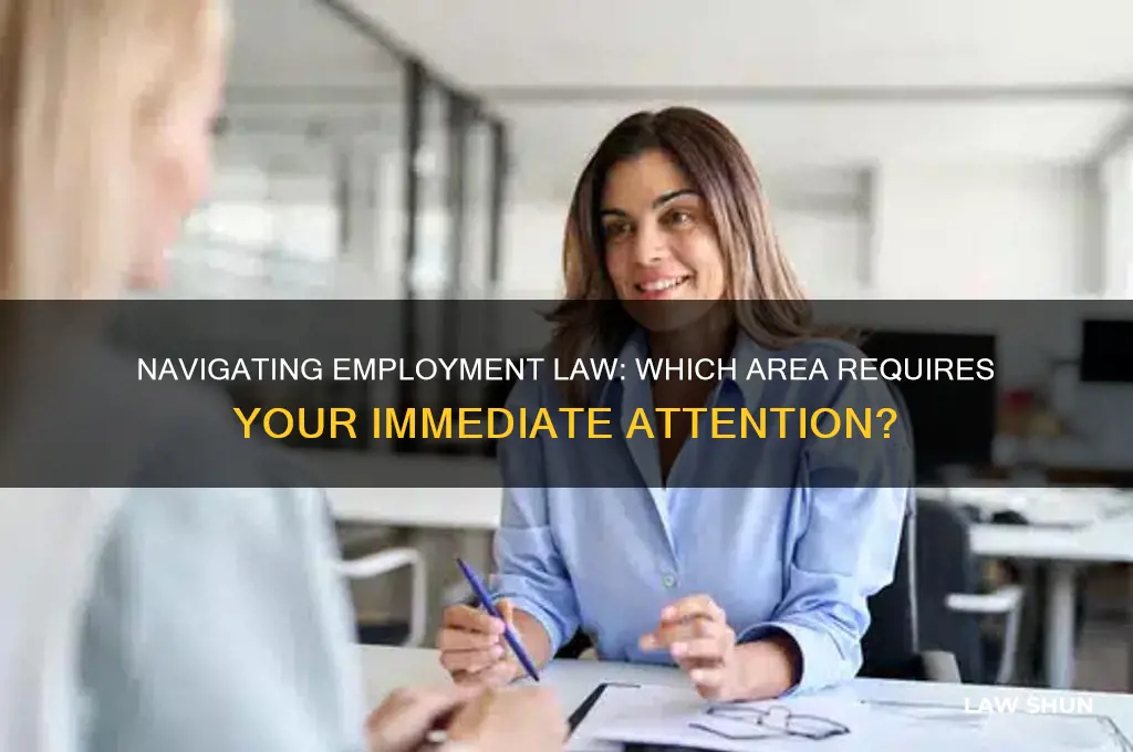 which area of emplyment law do you need help in