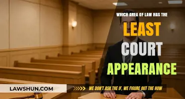 Exploring the Legal Field with Minimal Courtroom Appearances