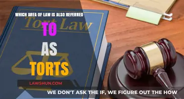 Understanding Torts: The Legal Area Governing Civil Wrongs and Injuries