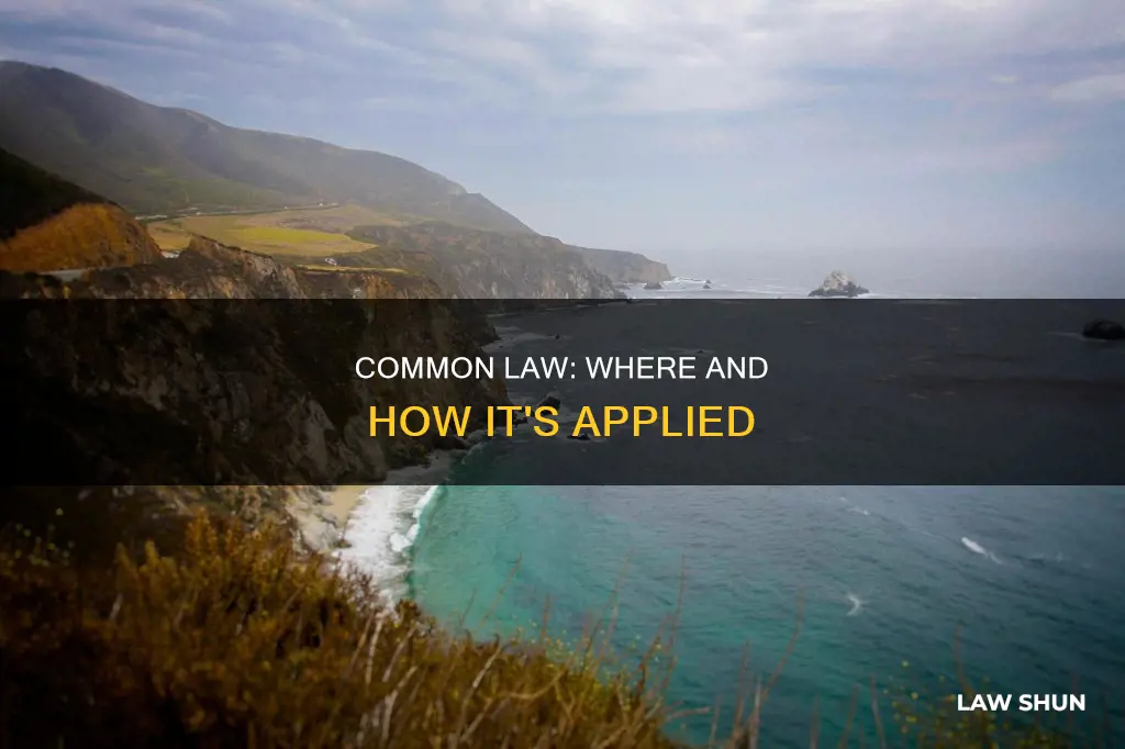 which areas ar common law applied to