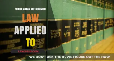 Common Law: Areas of Application Explored