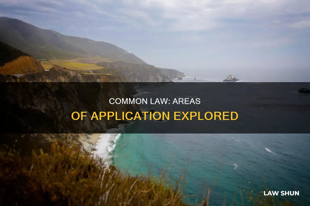 which areas are common law applied to