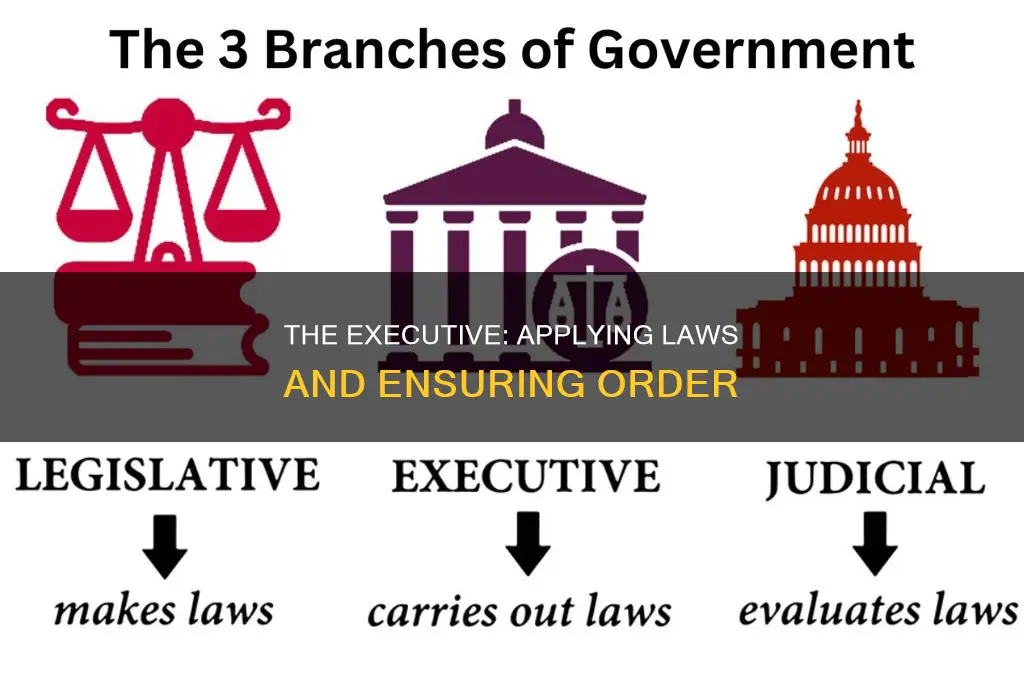 which arm of government has the power to apply laws